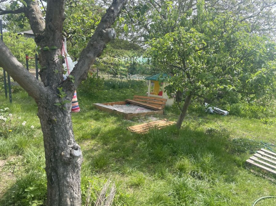 Działka rod Gdańsk, ul. Kampinoska. Zdjęcie 6