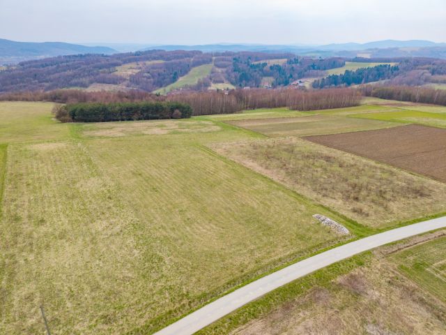 Działka budowlana Niewodna. Zdjęcie 4
