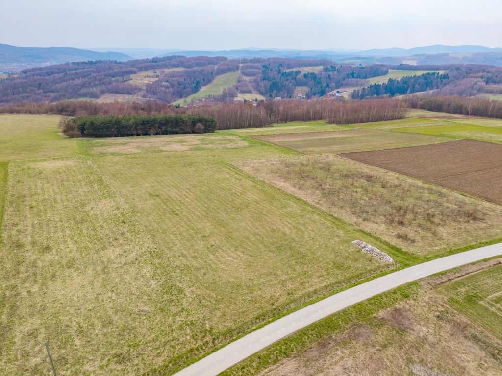 Działka budowlana Niewodna. Zdjęcie 4