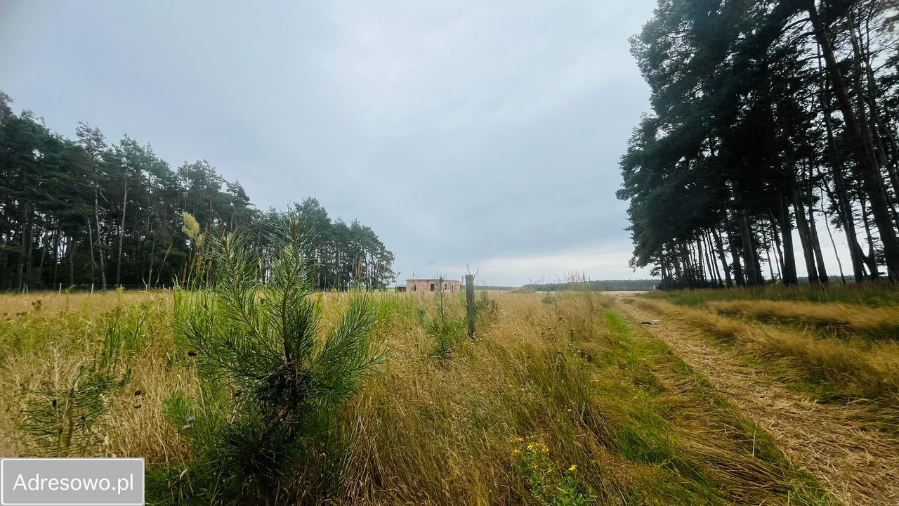 Działka budowlana Imielno. Zdjęcie 1