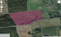 Działka rolna Lekity. Zdjęcie 2