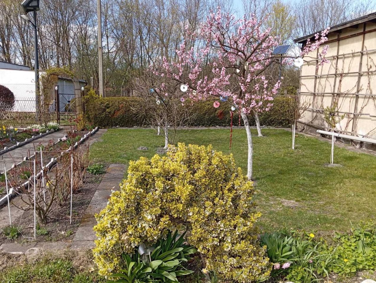 Działka rod Zabrze. Zdjęcie 8