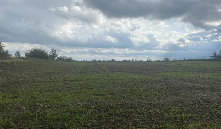 Działka rolno-budowlana Mielenko, ul. Topolowa