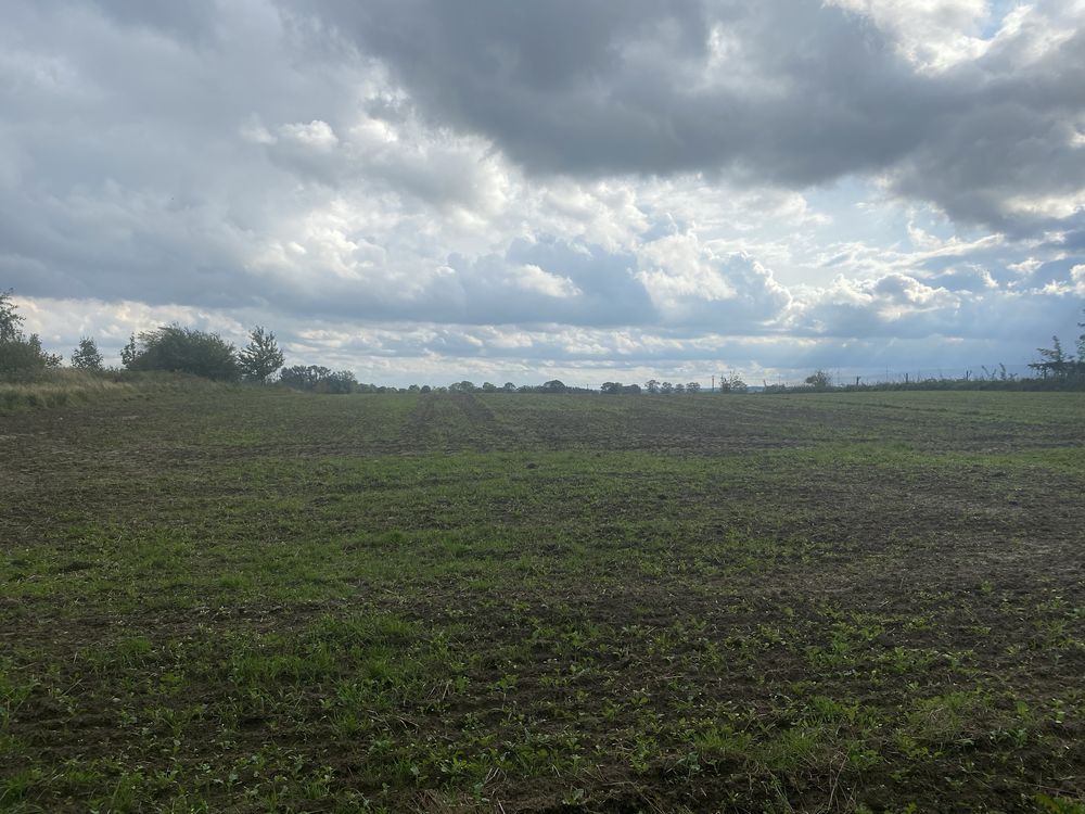 Działka rolno-budowlana Mielenko, ul. Topolowa. Zdjęcie 1