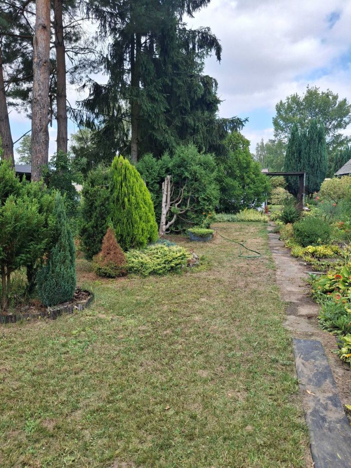 Działka rod Radom, ul. Szydłowiecka. Zdjęcie 3