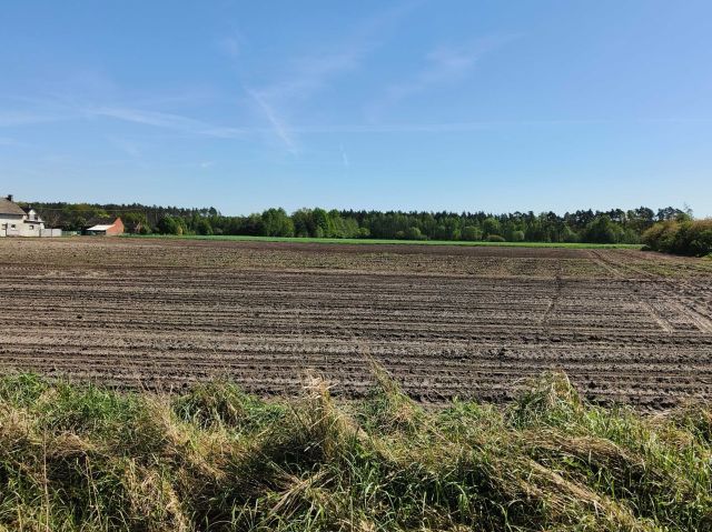 Działka budowlana Wielowieś. Zdjęcie 1