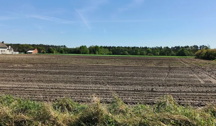 Działka budowlana Wielowieś