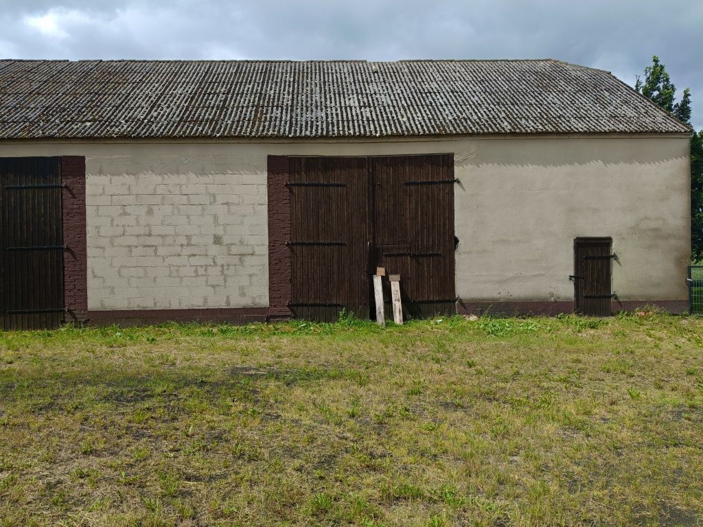 siedlisko Pigża, ul. Długa. Zdjęcie 4