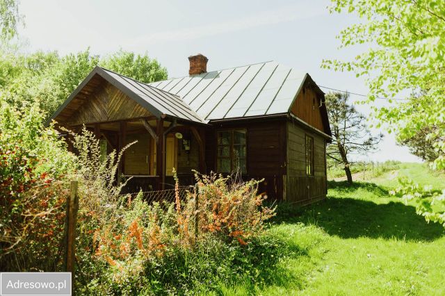 Działka rolna Rogów. Zdjęcie 1