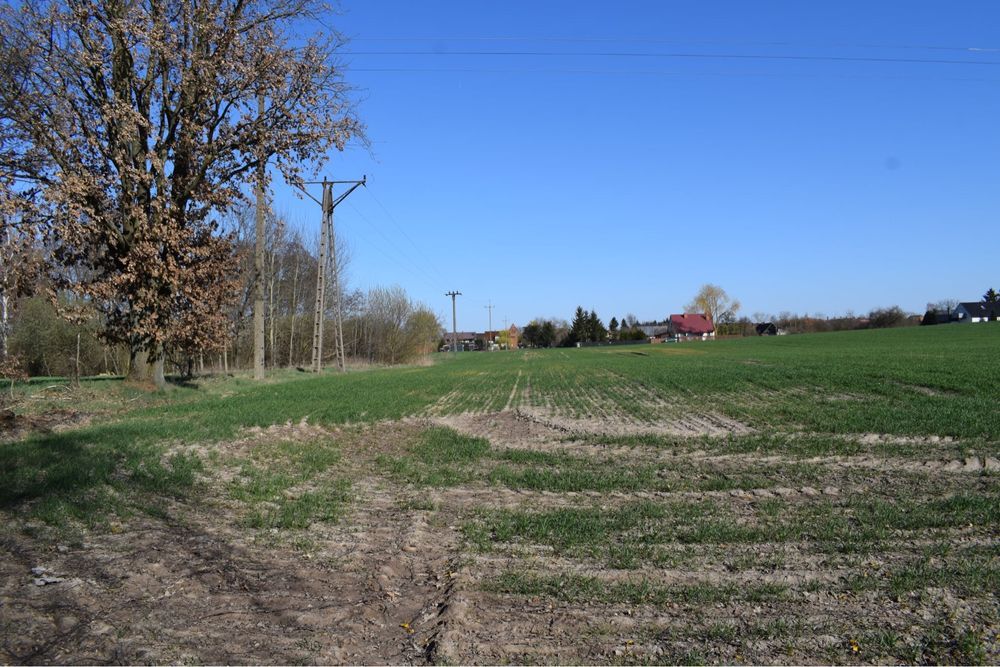 Działka budowlana Chmielinko. Zdjęcie 6