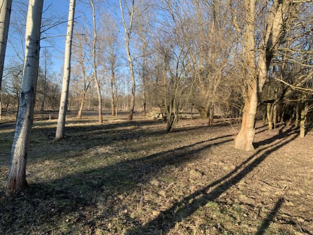 Działka budowlana Kanie, ul. Małej Łąki. Zdjęcie 1