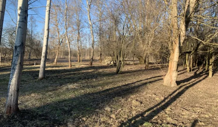 Działka budowlana Kanie, ul. Małej Łąki