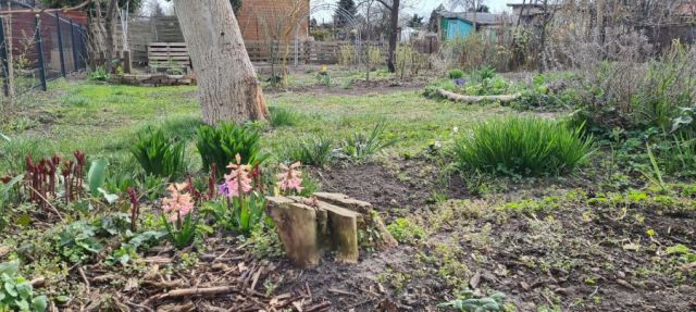 Działka rod Gdańsk Stogi, ul. Ugory. Zdjęcie 1