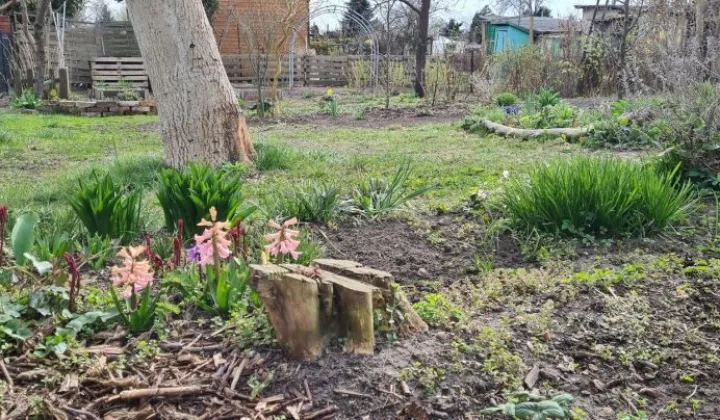 Działka rod Gdańsk Stogi, ul. Ugory