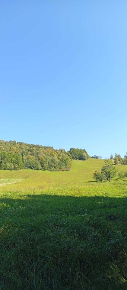 Działka rolna Terka. Zdjęcie 1