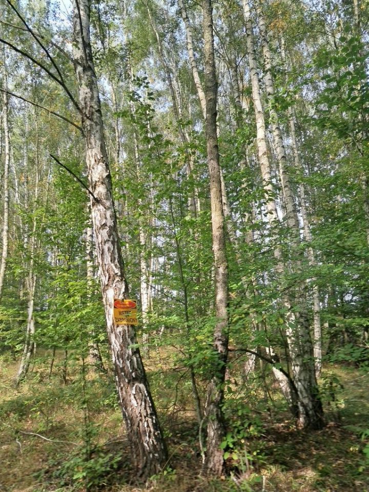 Działka leśna Tokary. Zdjęcie 5