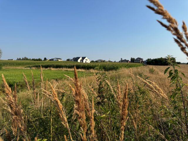 Działka rolno-budowlana Wieszowa. Zdjęcie 14
