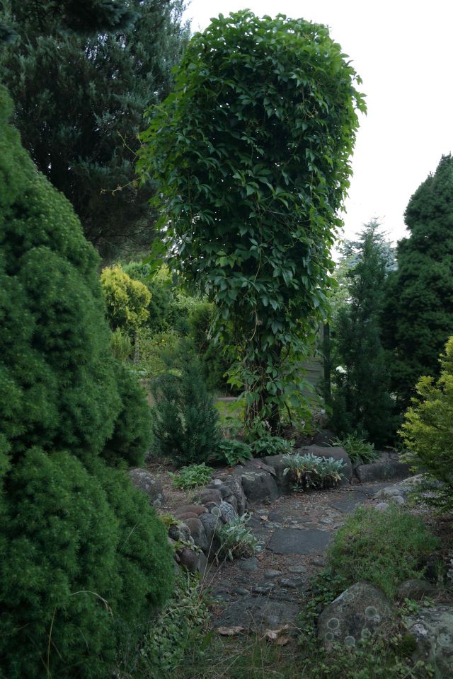 Działka rod Niewodnica Kościelna, ul. Działkowców. Zdjęcie 45