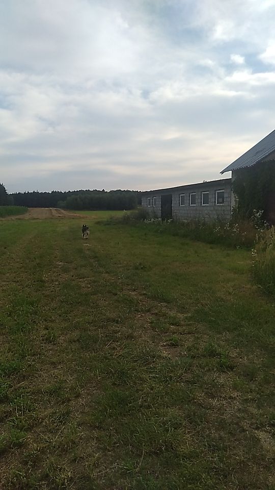 Hala/magazyn Rzechta Drużbińska. Zdjęcie 6