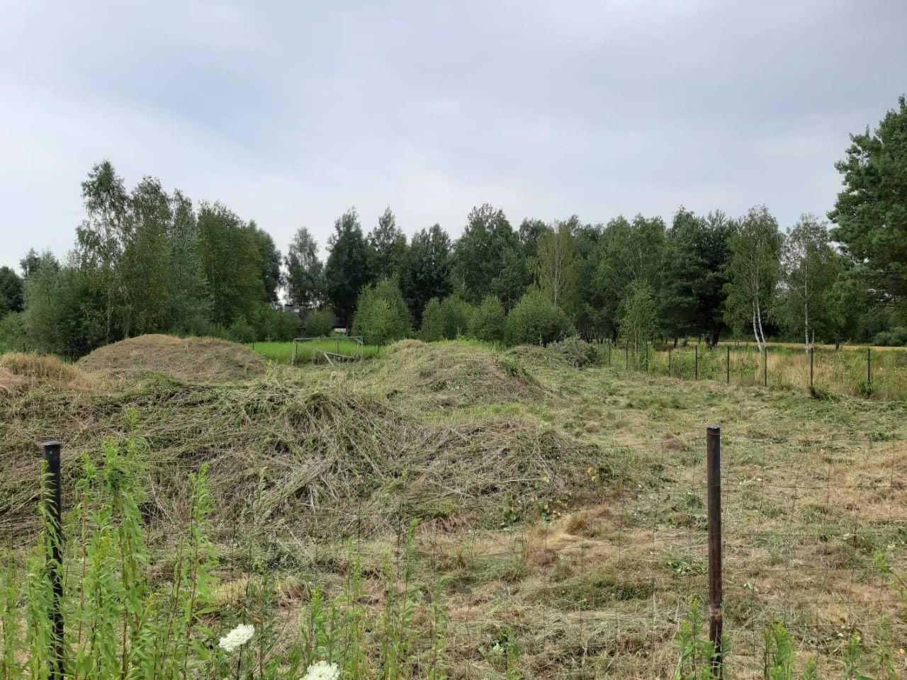 Działka budowlana Kąck, ul. Myśliwska. Zdjęcie 5