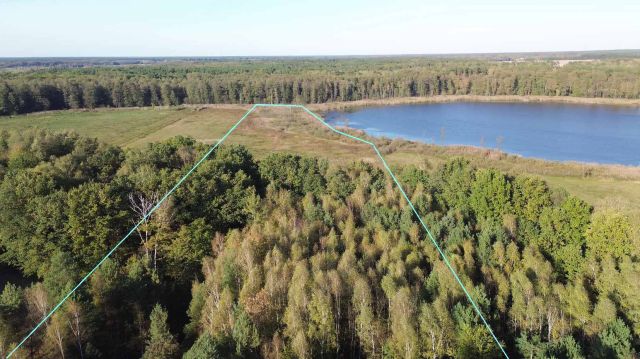 Działka siedliskowa Komarówka. Zdjęcie 1