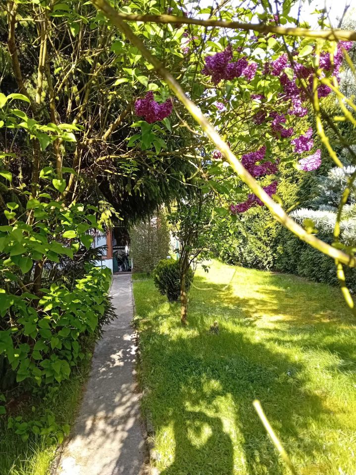 Działka rod Łódź Łagiewniki. Zdjęcie 7