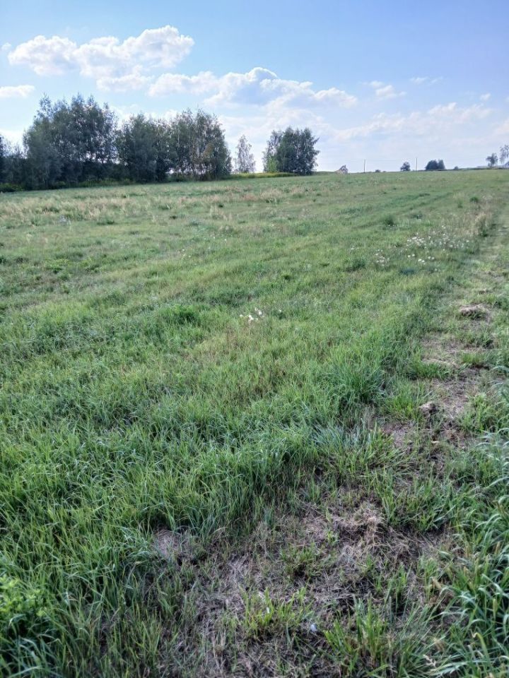 Działka budowlana Niwiski. Zdjęcie 3