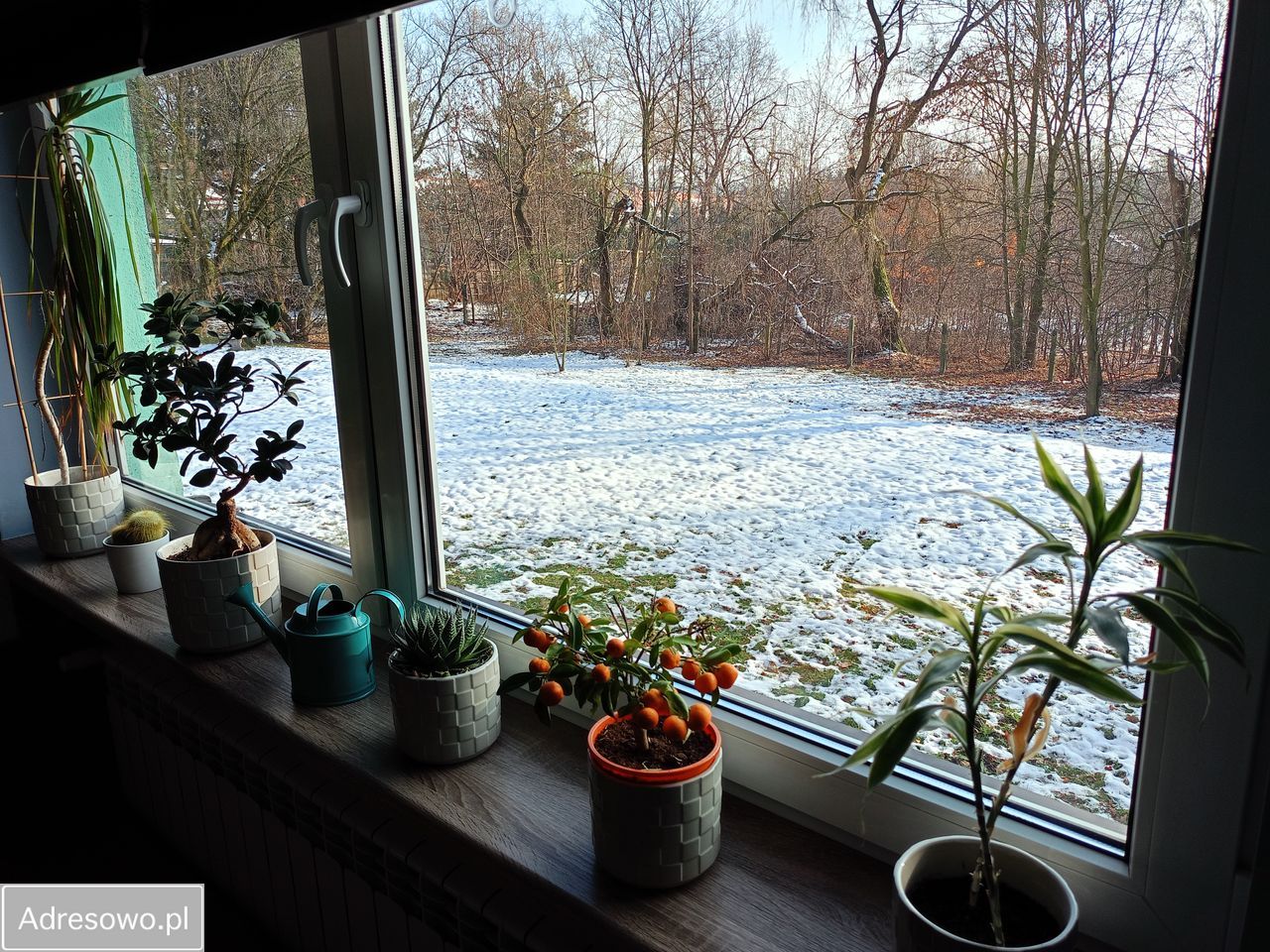 Mieszkanie 2-pokojowe Zabrze Zaborze, ul. Józefa Lompy. Zdjęcie 12