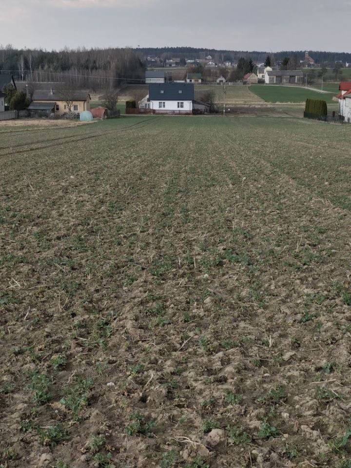 Działka budowlana Jasieniec Iłżecki Dolny. Zdjęcie 3