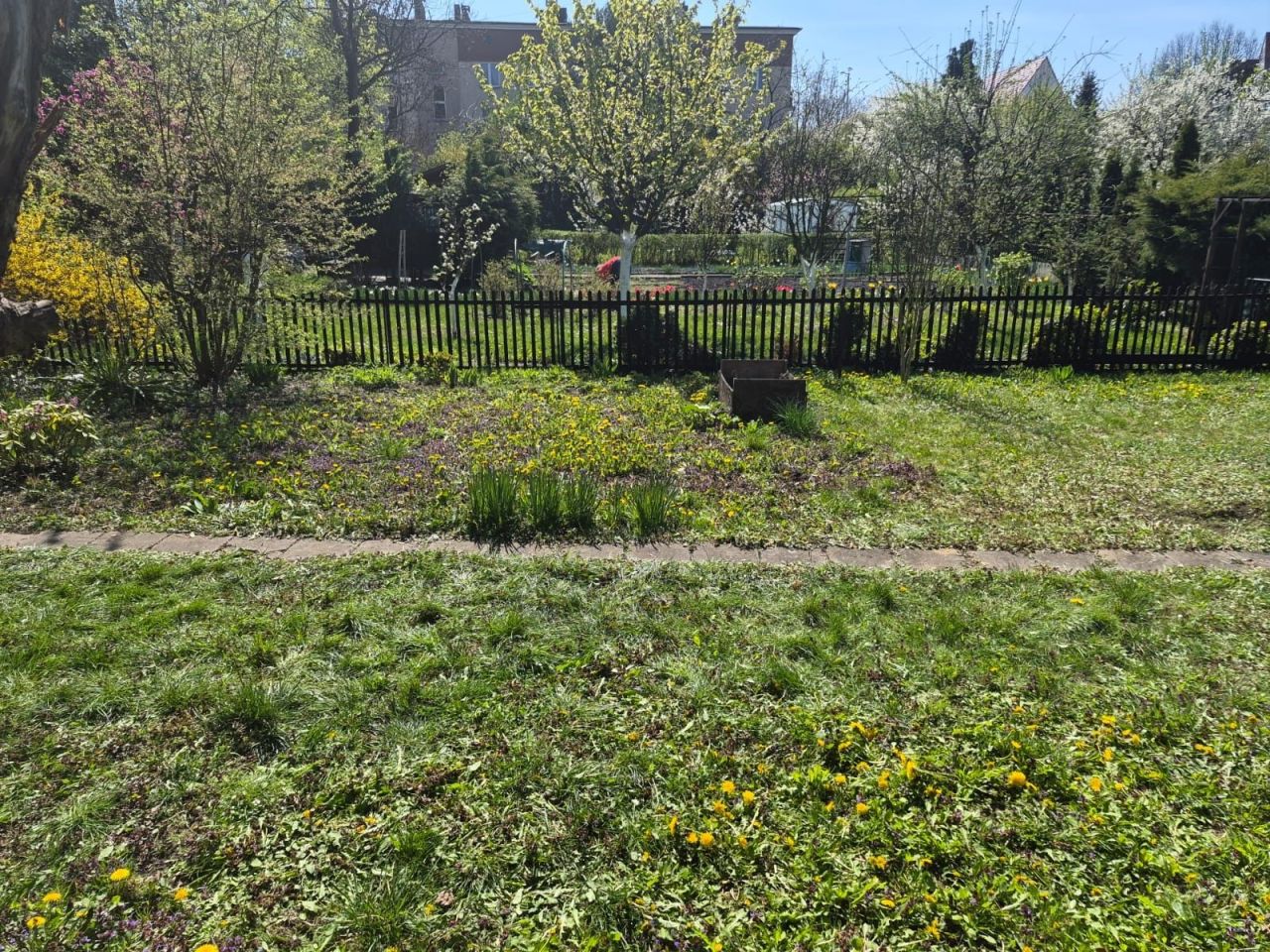 Działka rod Racibórz. Zdjęcie 8