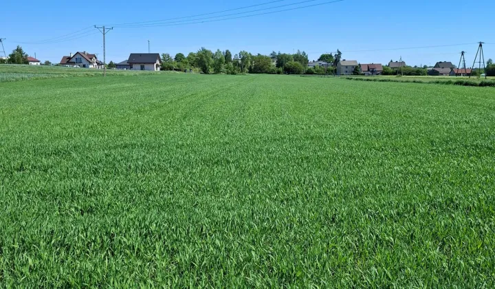 Działka rolno-budowlana Ostrowite