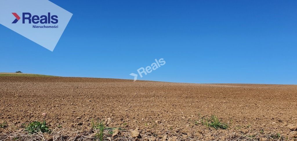 Działka rolna Węgielsztyn. Zdjęcie 1