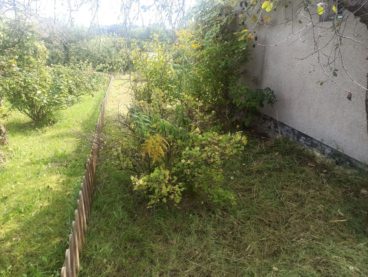 Działka rod Starogard Gdański Centrum, ul. Tczewska. Zdjęcie 16