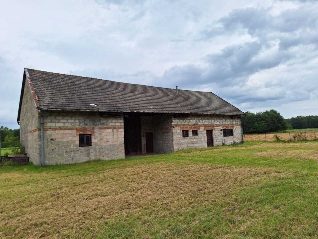 gospodarstwo Kupienin. Zdjęcie 1