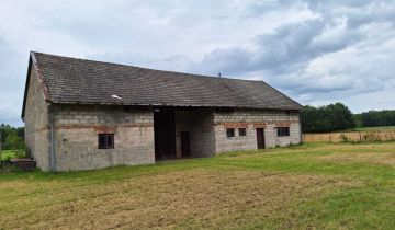 gospodarstwo Kupienin