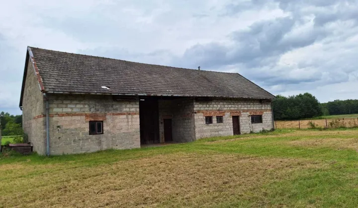 gospodarstwo Kupienin