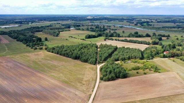 Działka rolna Osetno. Zdjęcie 4
