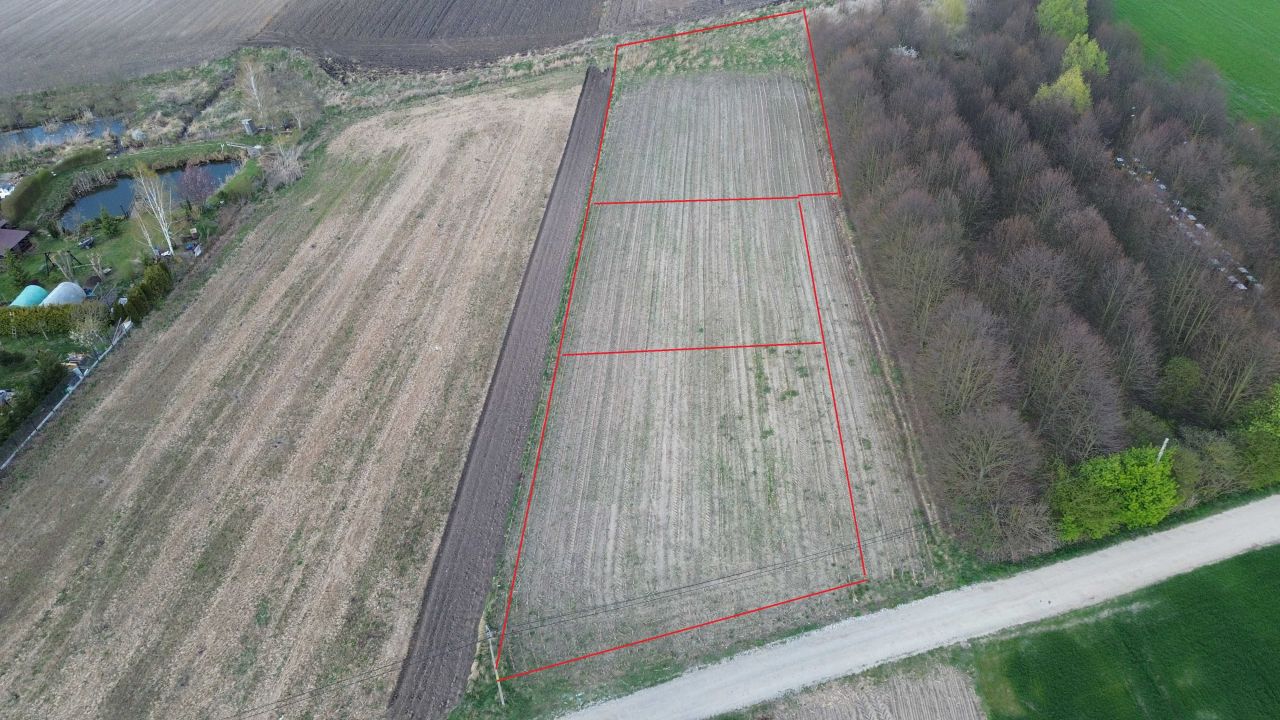 Działka budowlana Bartosz. Zdjęcie 4