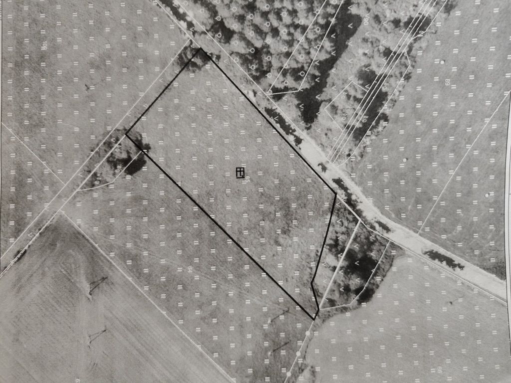 Działka rolna Nowa Wieś. Zdjęcie 2