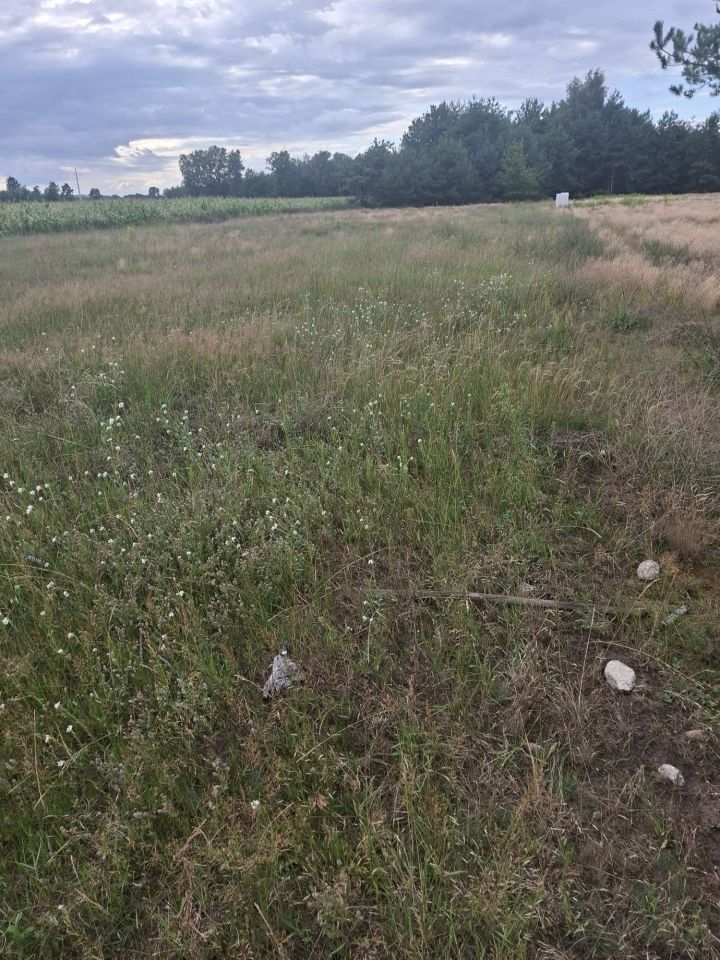 Działka budowlana Dachowa. Zdjęcie 5