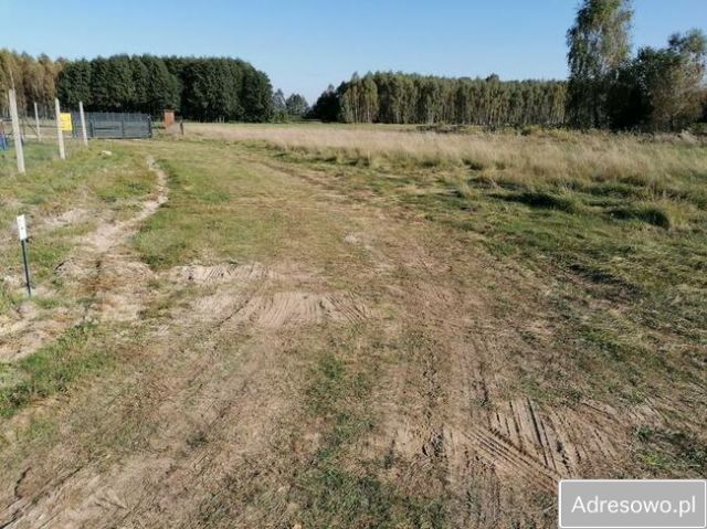 Działka budowlana Kołoszyn. Zdjęcie 1