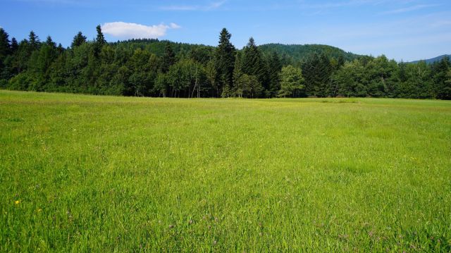 Działka rolno-budowlana Klimkówka. Zdjęcie 1