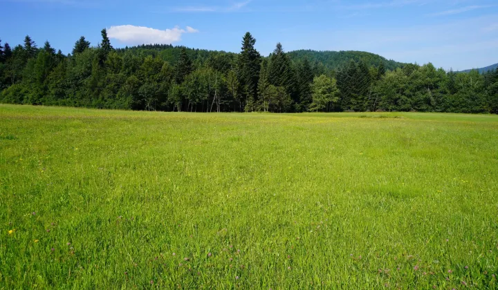 Działka rolno-budowlana Klimkówka