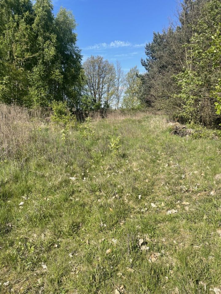 Działka rekreacyjna Polik. Zdjęcie 2