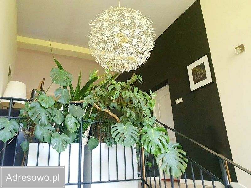 Nieruchomość komercyjna Biestrzynnik. Zdjęcie 13