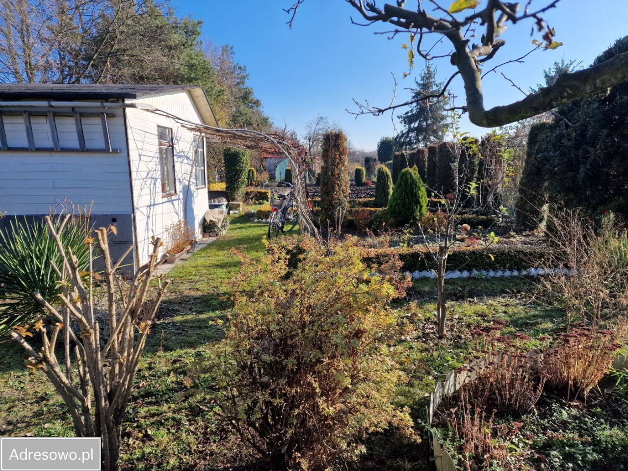 Działka rod Jelcz-Laskowice, ul. Aleja Młodych