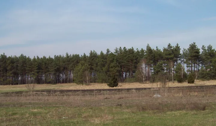 Działka rolno-budowlana Okrągła Łąka