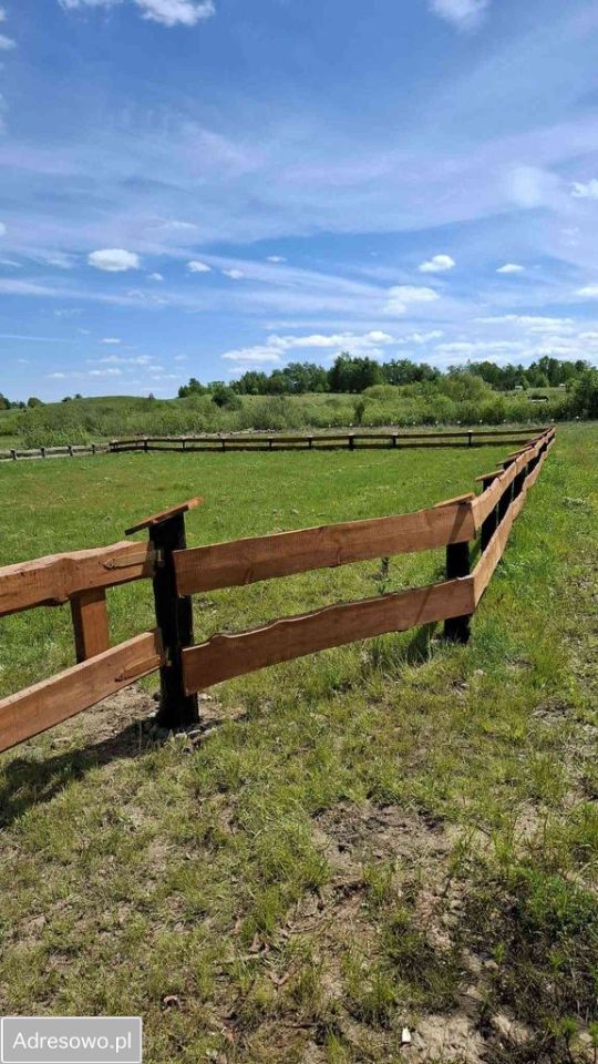 Działka budowlana Dąbrowa. Zdjęcie 6