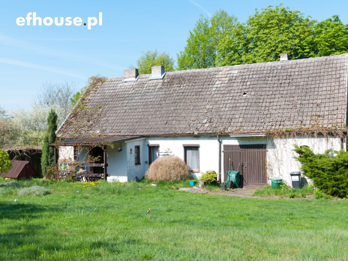 dom wolnostojący, 3 pokoje Dobrylewo. Zdjęcie 5