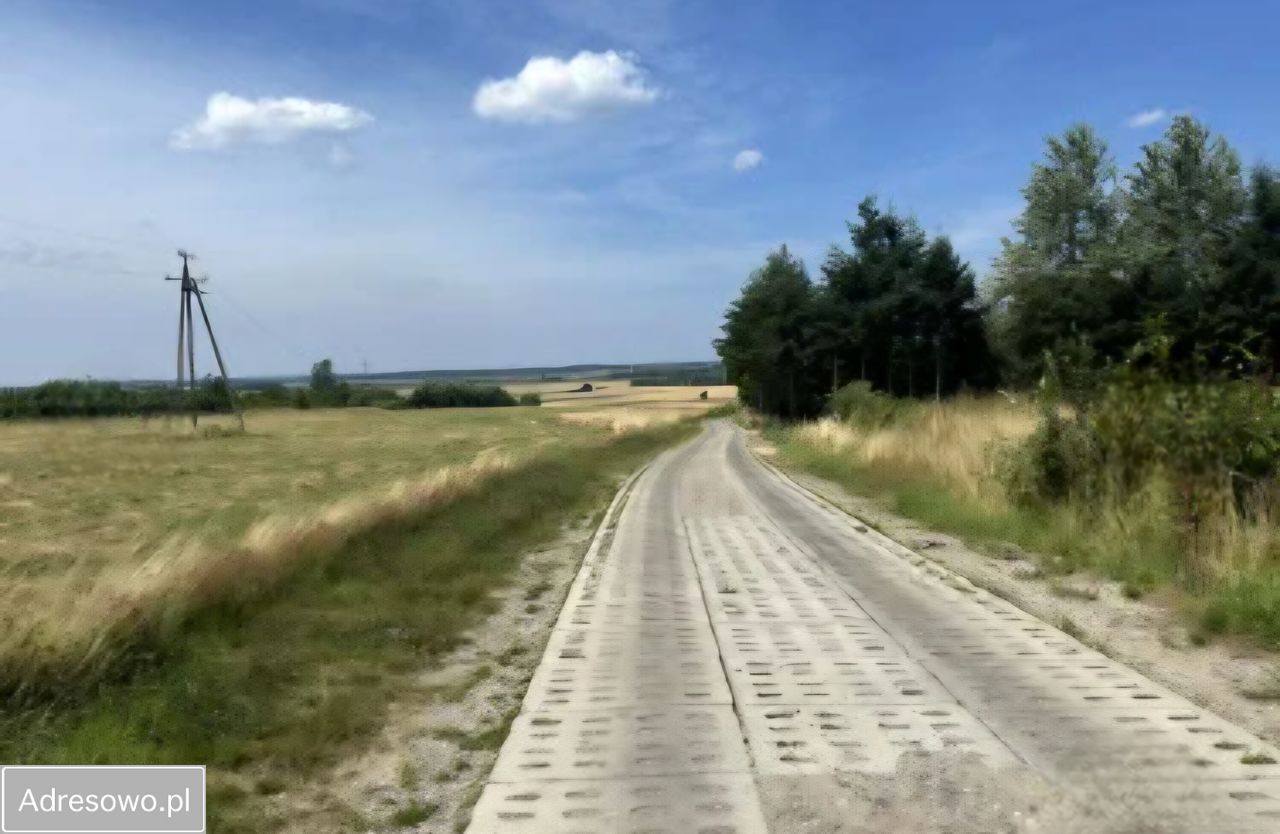 Działka rolna Barzowice. Zdjęcie 1